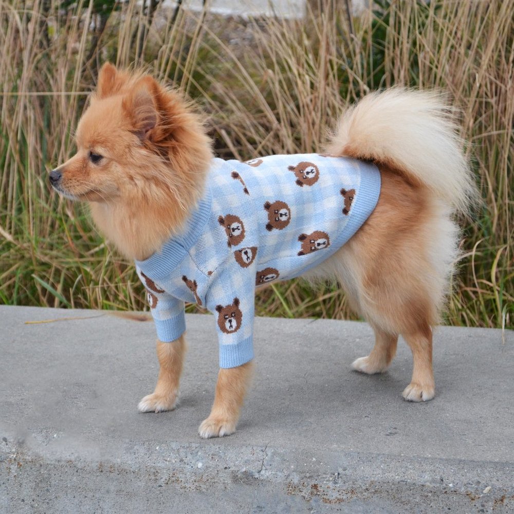 Blue Dog Sweater with Teddy Bear Print for Small Dogs